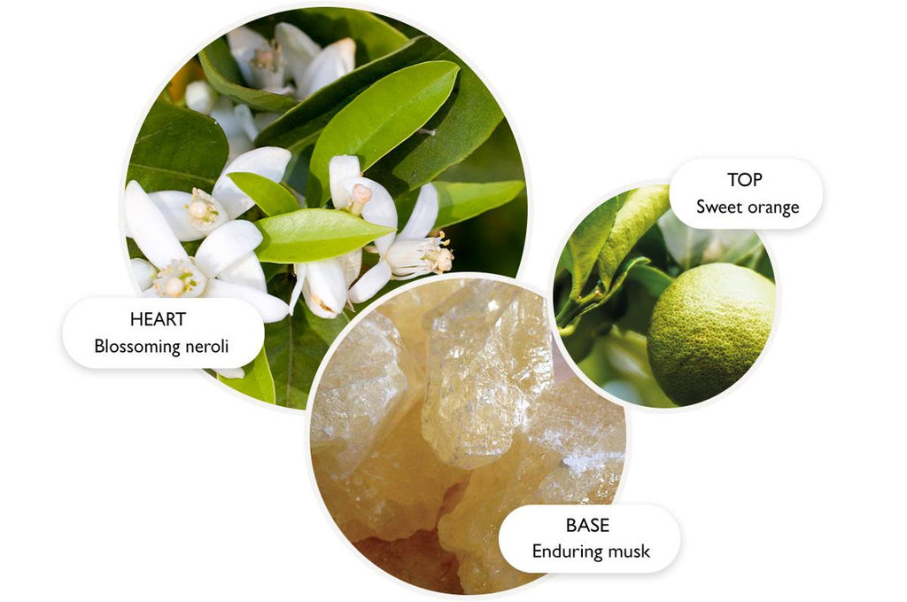 Molton Brown - Orange & Bergamot - Refillable Body Cream