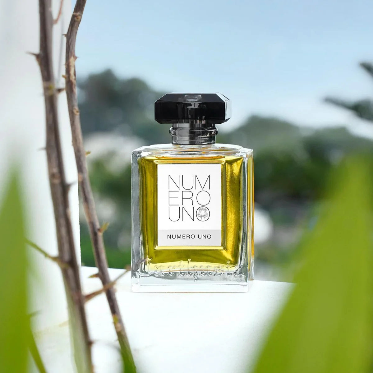 香水(ユニセックス) Carthusia NUMERO UNO Eau de Toilette Carthusia - Numero Uno - Eau de Parfum – Celeste Parfums