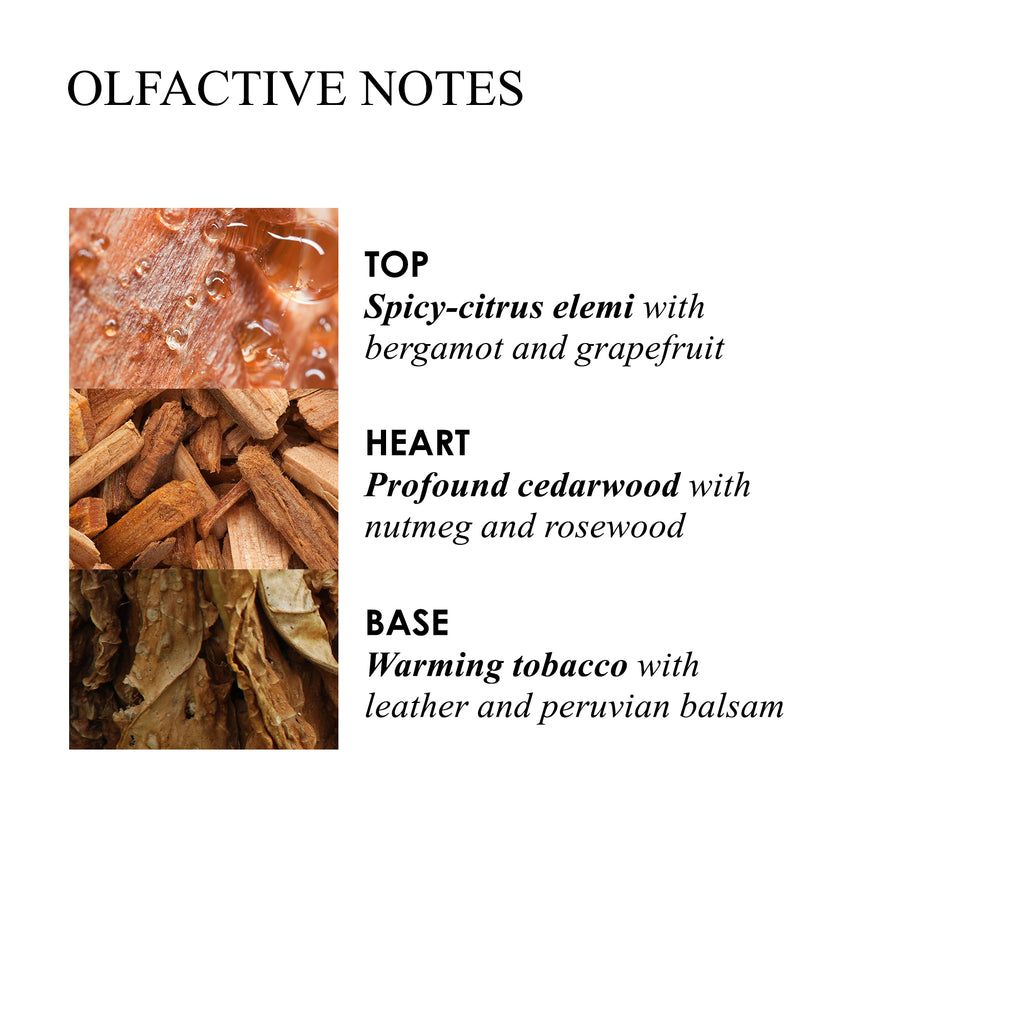 Molton Brown - Tobacco Absolute - Bath & Shower Gel