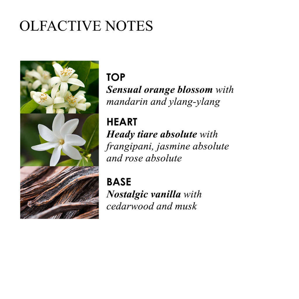 Molton Brown - Flora Luminare - Body Lotion