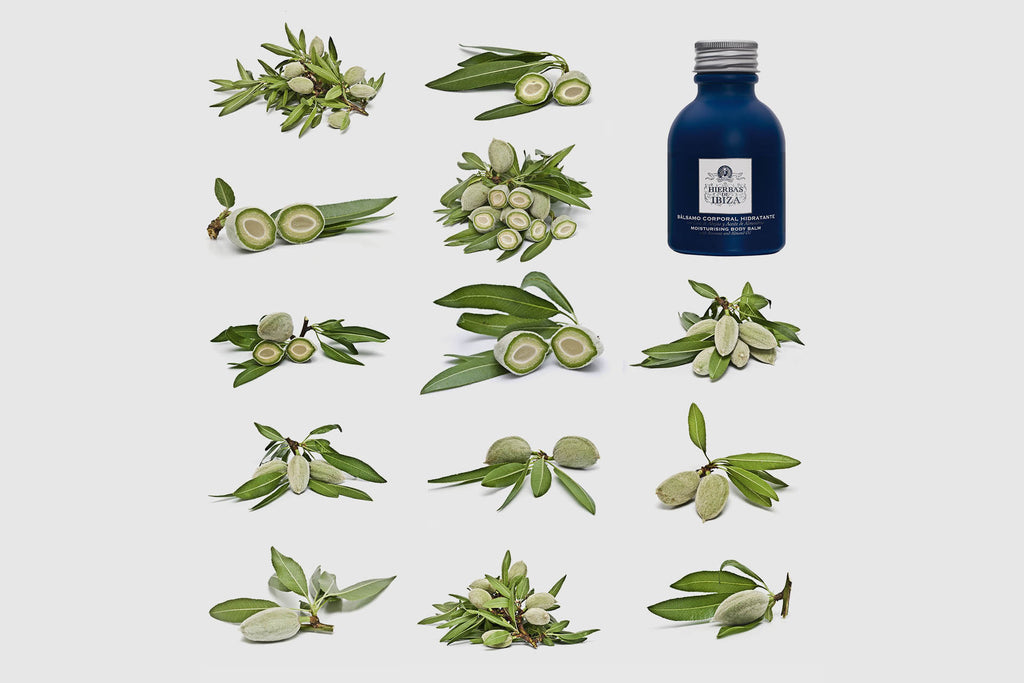 Hierbas de Ibiza - Body Balm