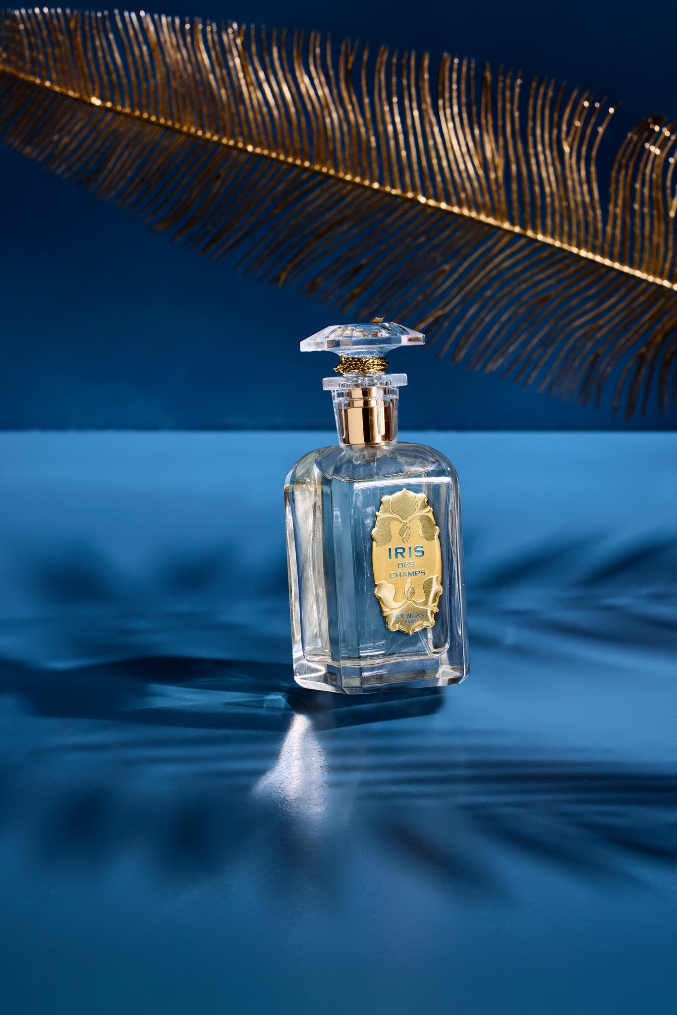 HOUBIGANT Iris des Champs 100ml 香水 Perfumes Houbigant Iris des Champs – Celeste Parfums