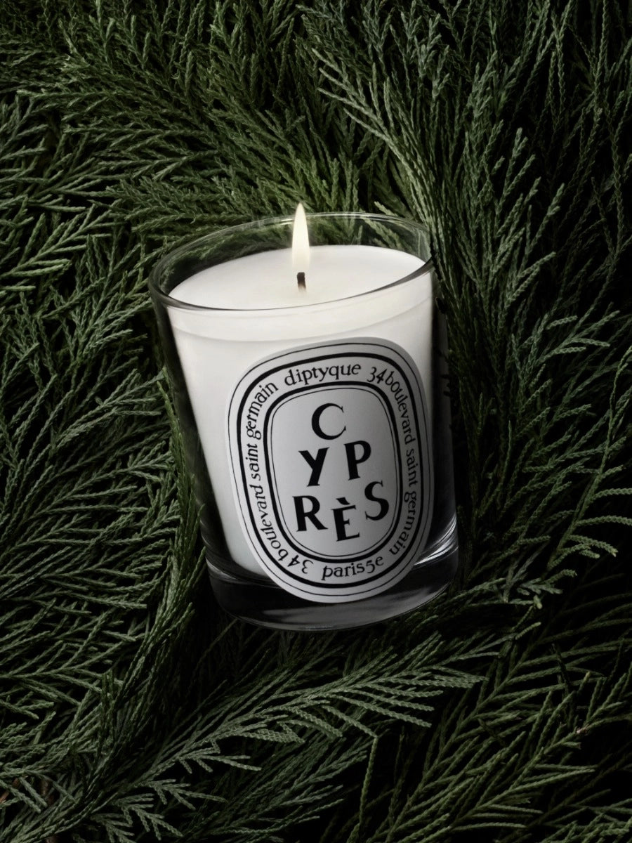 Diptyque - Cyprès - Candle – Celeste Parfums