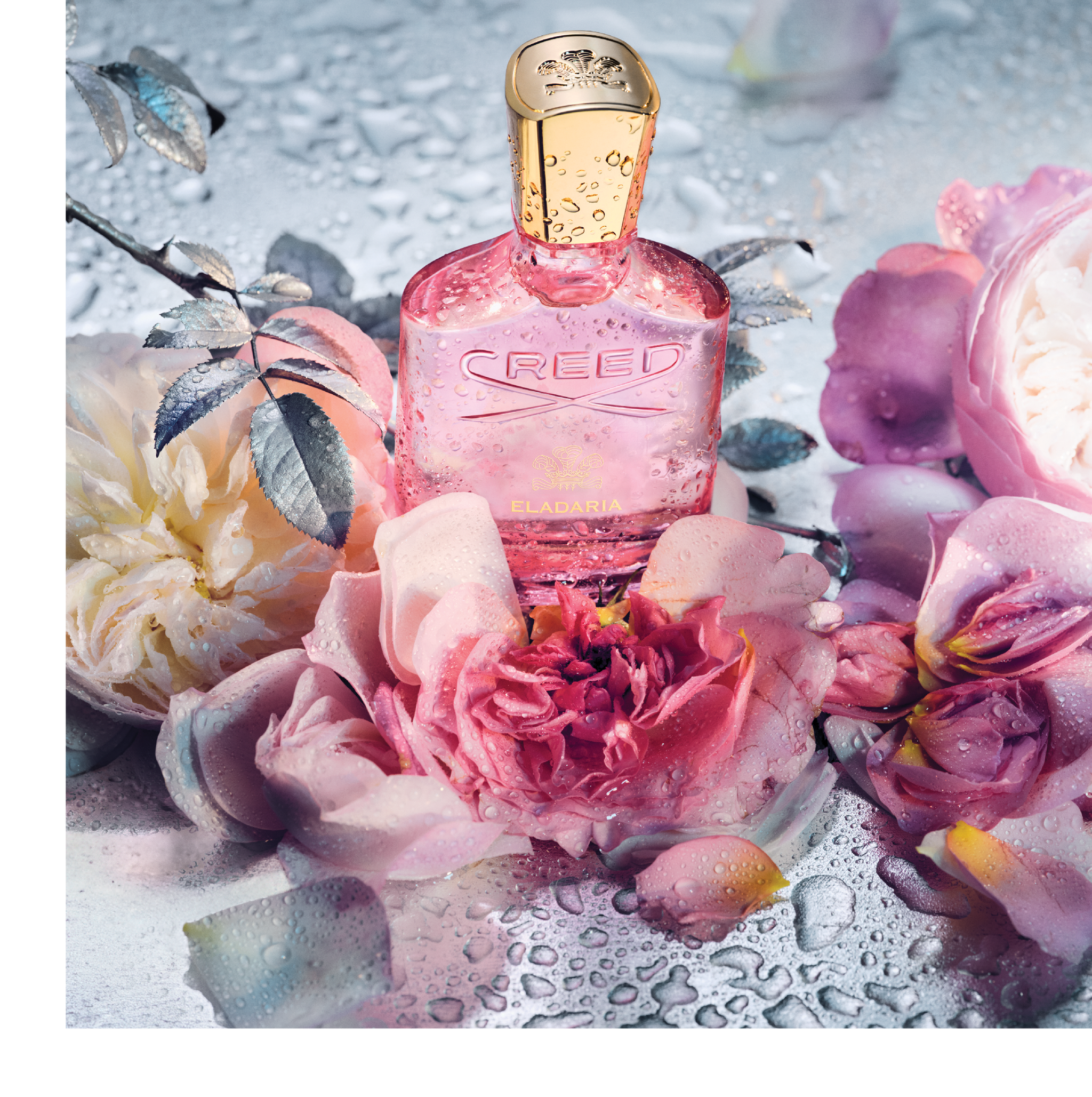 Creed - Eladaria - Eau de Parfum – Celeste Parfums
