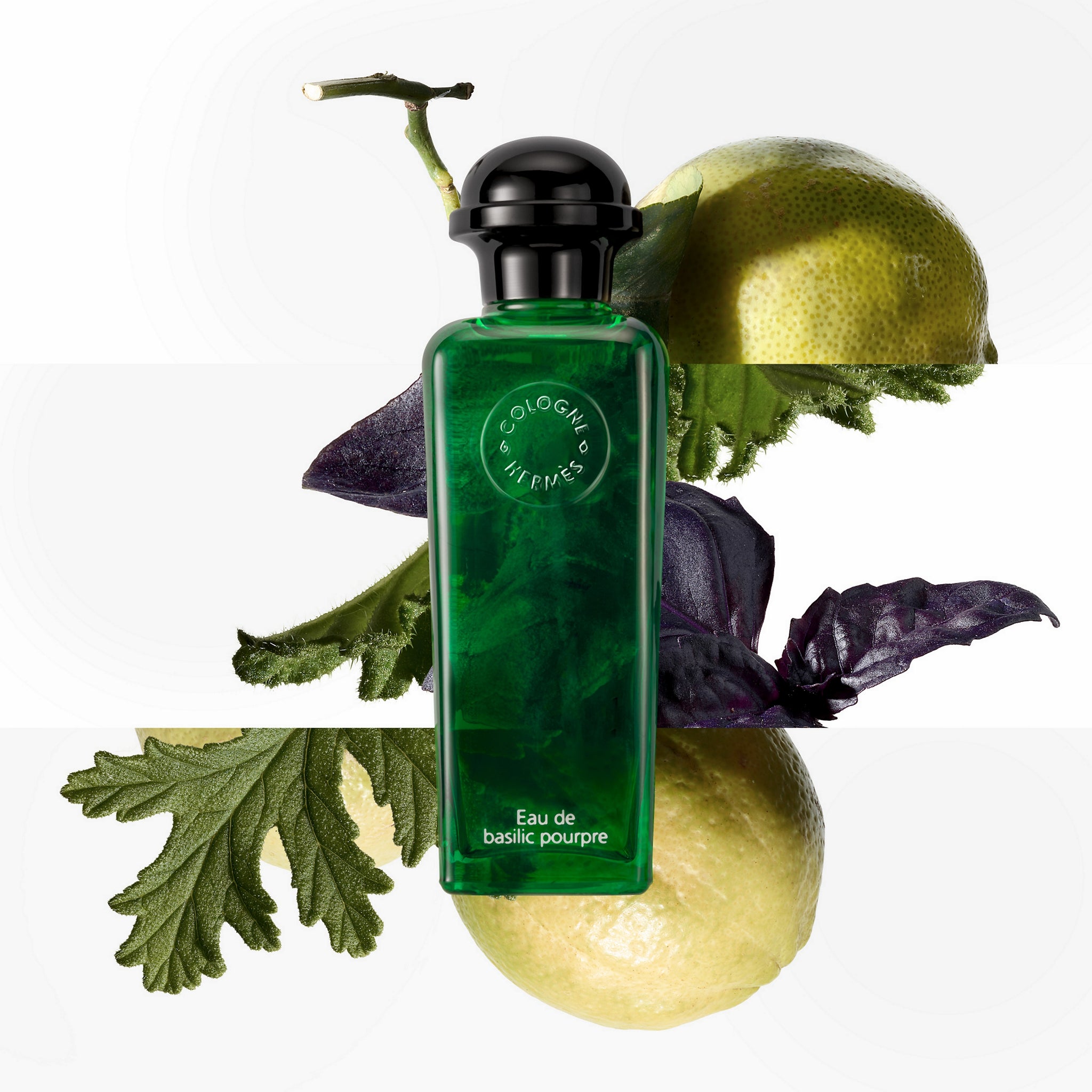 Hermès - Eau de Basilic Pourpre - Eau de Cologne – Celeste Parfums