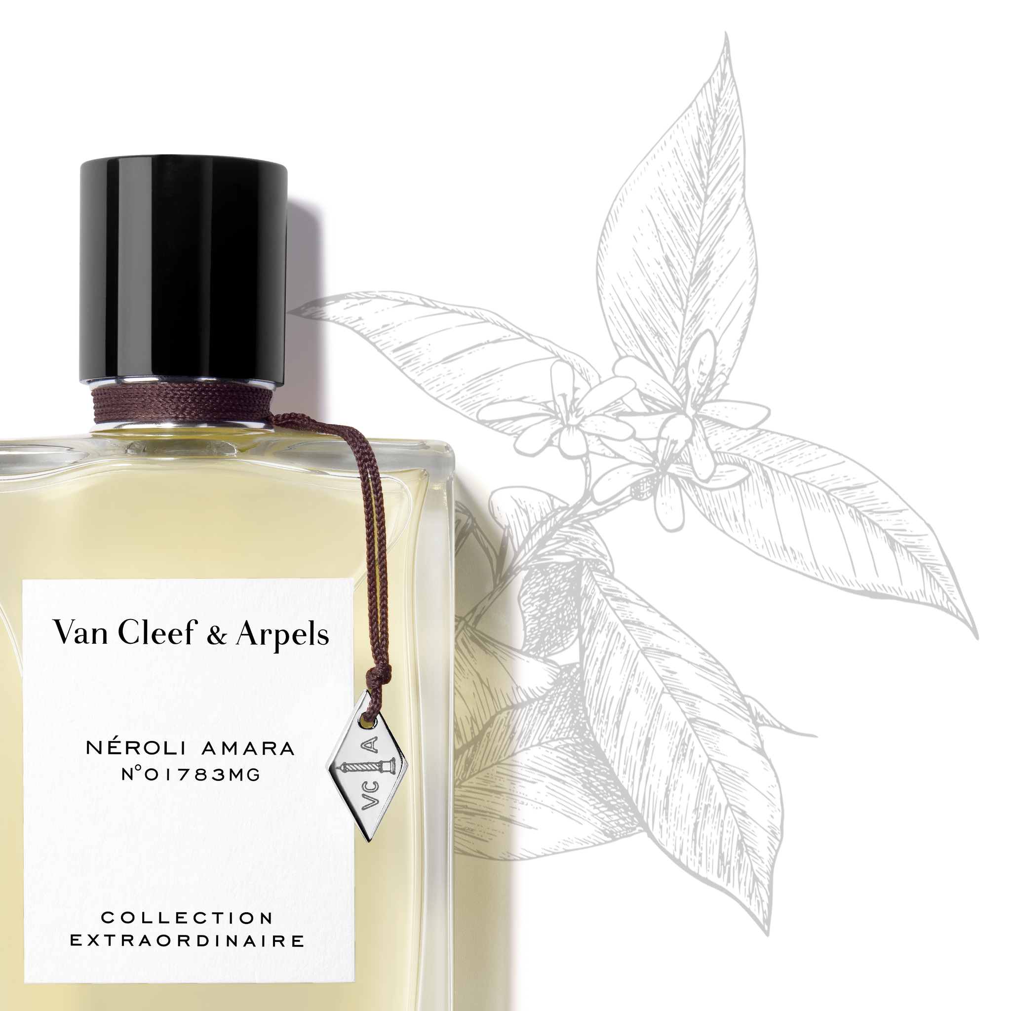 Van Cleef & Arpels - Néroli Amara - Eau de Parfum – Celeste Van Cleef & Arpels - Néroli Amara - Eau de Parfum – Celeste