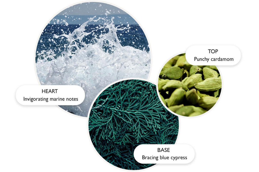 Molton Brown - Coastal Cypress & Sea Fennel - Refillable Body Cream