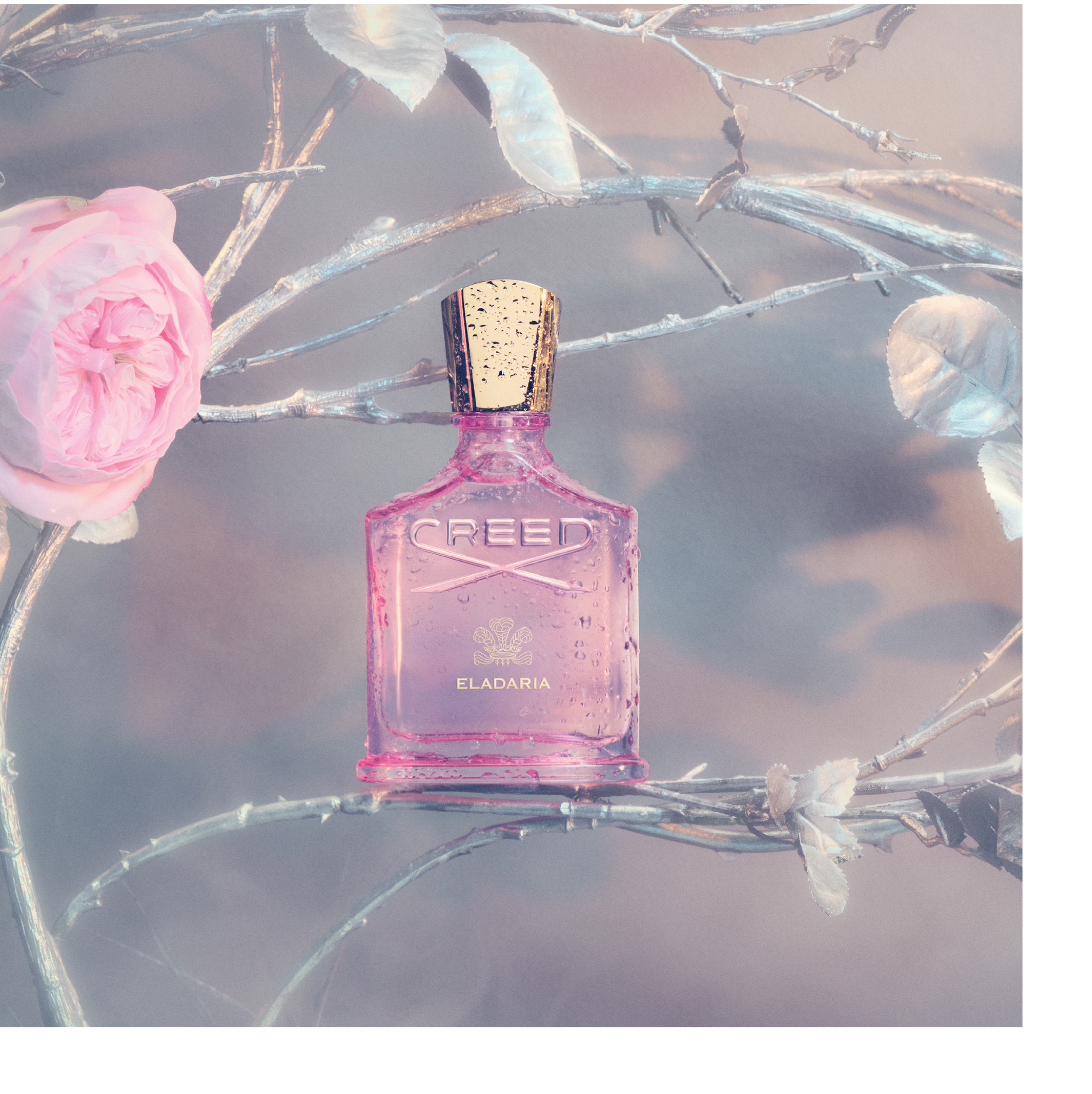 Creed - Eladaria - Eau de Parfum – Celeste Parfums